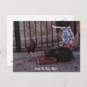 Postkarte "Nur in Key West" (Vorne/Hinten)