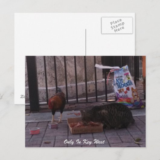 Postkarte "Nur in Key West" (Vorne/Hinten)