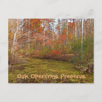 POSTKARTE, OAK-ÖFFNUNG, TOLEDO METRO PARK