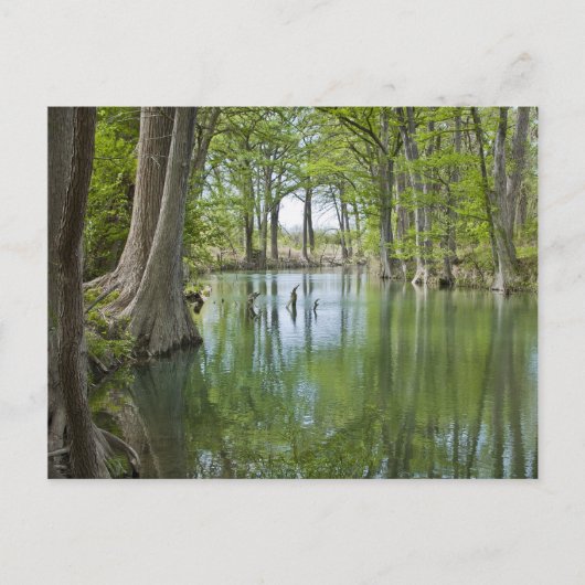 Postkarte - "Oase" (Vorderseite)