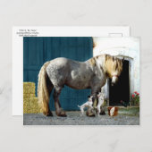 Postkarte "Odin & The Twins" (Vorne/Hinten)