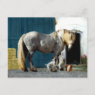 Postkarte "Odin & The Twins"