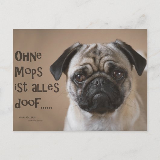 Postkarte "Ohne Mops ist alles doof" (Vorderseite)