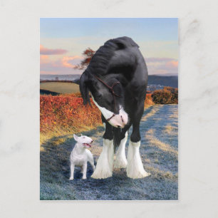 Postkarte "Ollie & Blackbird"