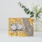 Postkarte Opossum (Stehend Vorderseite)