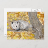 Postkarte Opossum (Vorne/Hinten)