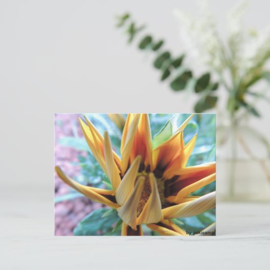 Postkarte - Orange Blume (Stehend Vorderseite)