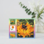 Postkarte – Orangenfarbene Ringelblumen (Stehend Vorderseite)