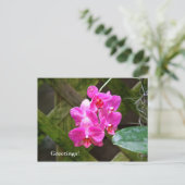 Postkarte - Orchid (Stehend Vorderseite)
