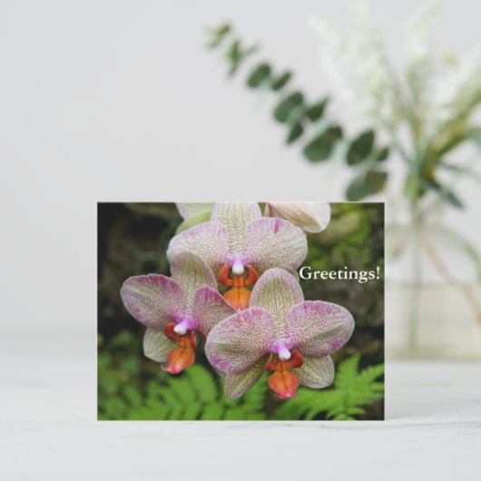 Postkarte - Orchid (Stehend Vorderseite)