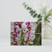 Postkarte - Orchid (Stehend Vorderseite)
