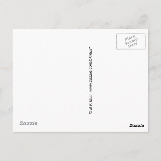 Postkarte - Originaltext (Rückseite)