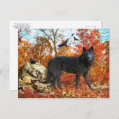 Postkarte "Orion & The Crows" (Vorne/Hinten)