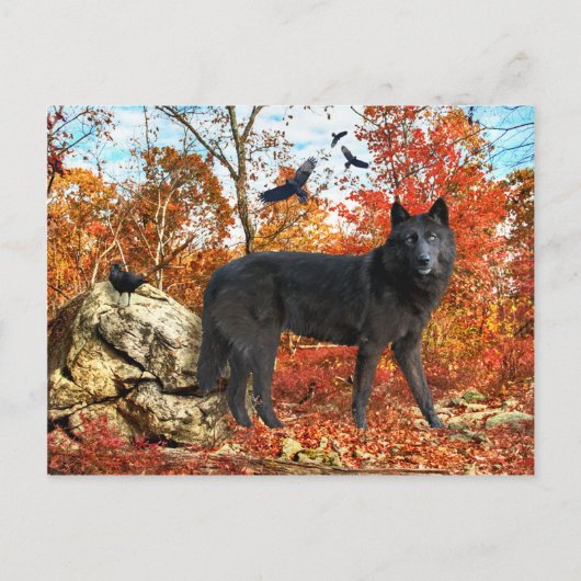 Postkarte "Orion & The Crows" (Vorderseite)