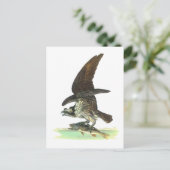 Postkarte: Osprey - John Audubon Postkarte (Stehend Vorderseite)