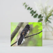 Postkarte Ost (Stehend Vorderseite)