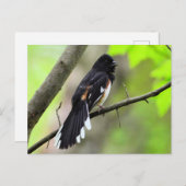 Postkarte Ost (Vorne/Hinten)