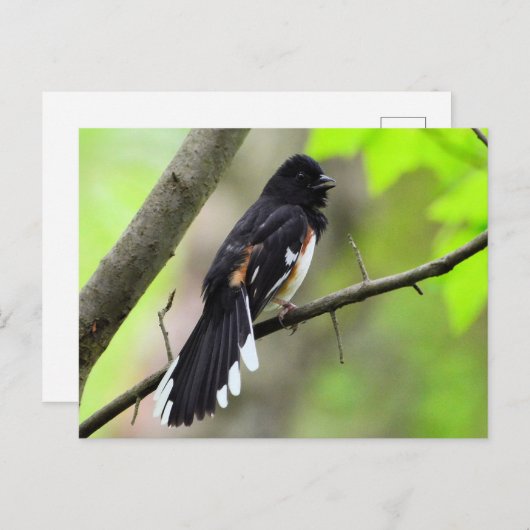 Postkarte Ost (Vorne/Hinten)