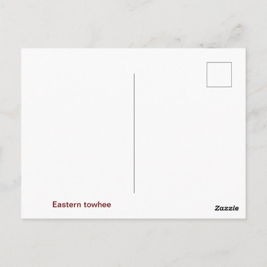 Postkarte Ost (Rückseite)