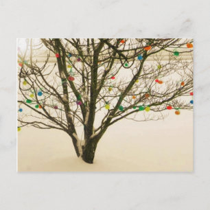 Postkarte Osterbaum