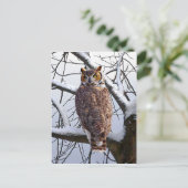 Postkarte "Owl in Winter" (Stehend Vorderseite)
