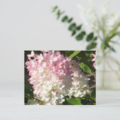 Postkarte P.D. Hydrangea (Stehend Vorderseite)