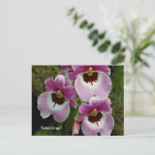 Postkarte - Pansy Orchid (Stehend Vorderseite)