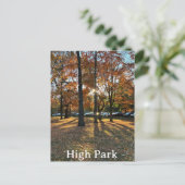 Postkarte: Parco delle camelie Locarno Postkarte (Stehend Vorderseite)