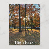 Postkarte: Parco delle camelie Locarno Postkarte (Vorderseite)