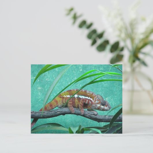 Postkarte "Parson's Chameleon" (Stehend Vorderseite)