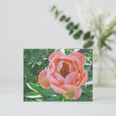 Postkarte, "PEACHY PINK PEONY" Postkarte (Stehend Vorderseite)