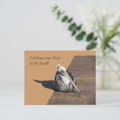 Postkarte - Pelican am Pier (Stehend Vorderseite)