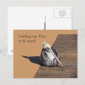 Postkarte - Pelican am Pier (Vorne/Hinten)