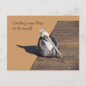 Postkarte - Pelican am Pier (Vorderseite)