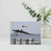 Postkarte "Pelican on Bay" (Stehend Vorderseite)