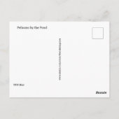 Postkarte - Pelikane am Teich (Rückseite)