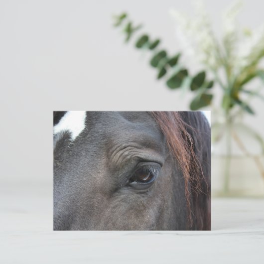 Postkarte Percheron (Stehend Vorderseite)