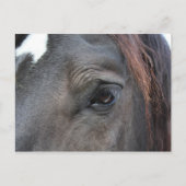 Postkarte Percheron (Vorderseite)