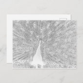 Postkarte - Pfau bis Farbe (Vorne/Hinten)