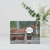 Postkarte/Pferd Postkarte (Stehend Vorderseite)