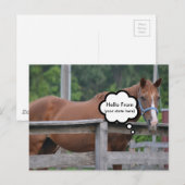 Postkarte/Pferd Postkarte (Vorne/Hinten)