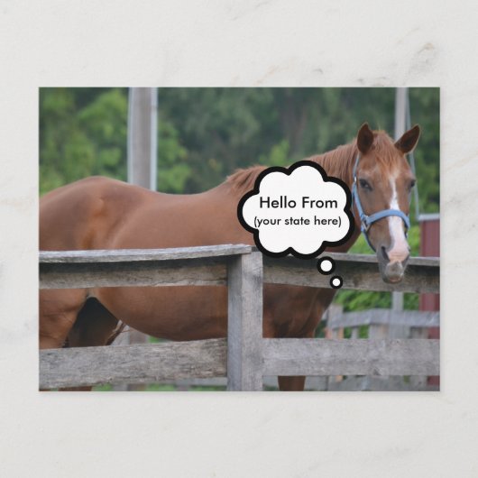 Postkarte/Pferd Postkarte (Vorderseite)