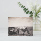 Postkarte "Pferd und Beförderung" (Stehend Vorderseite)
