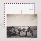 Postkarte "Pferd und Beförderung" (Vorne/Hinten)