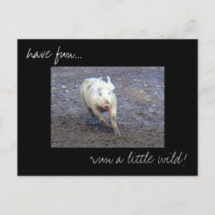 Postkarte "Pig Run Wild"-Foto