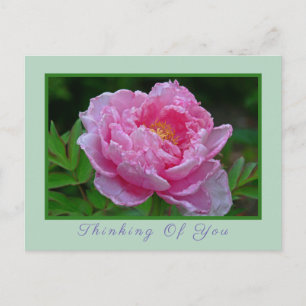 POSTKARTE, "PINK PEONY/DENKING OF YOU" POSTCARD POSTKARTE
