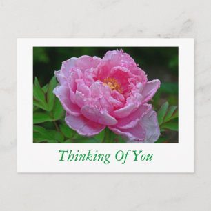 POSTKARTE: "PINK PEONY/DENKING OF YOU" POSTKARTE