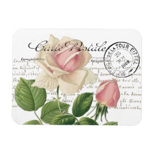 Postkarte Pink Rose französische Schrift Vintage Magnet