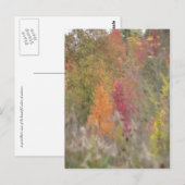 Postkarte "Pointillist's Autumn" (Vorne/Hinten)