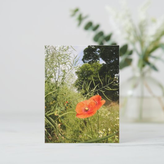 Postkarte "Poppy" (Stehend Vorderseite)